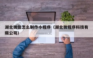 辽宁湖北微信怎么制作小程序（湖北微程序科技有限公司）